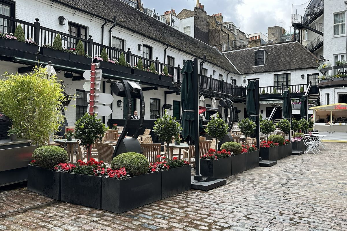 The Stafford's courtyard with flower boxes, in St James's
